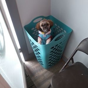 Meet your Posher, Kimberly